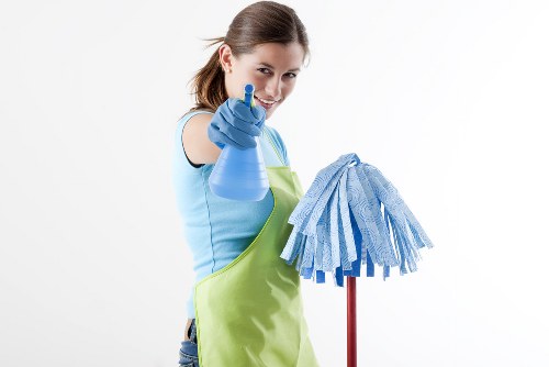 Professional cleaner in SW9 for home cleaning