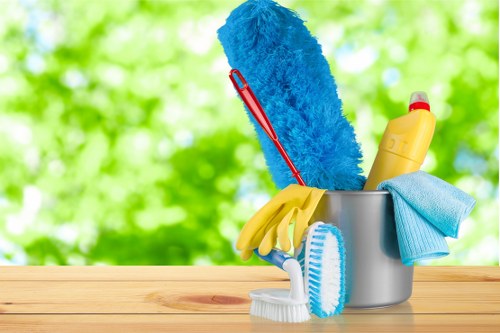 Professional cleaners providing home cleaning in SW9