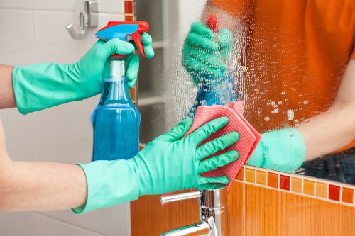 Professional cleaners providing domestic cleaning in SW9