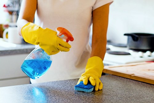 Domestic cleaning service in SW9 kitchen area