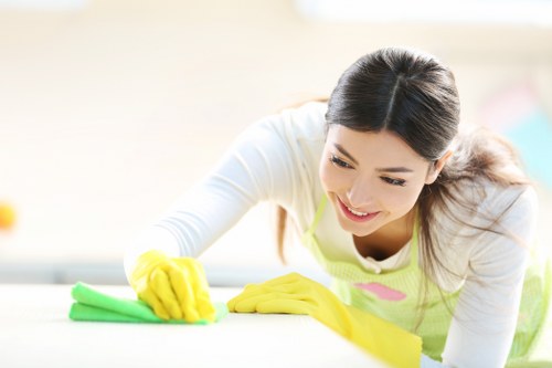 One-time cleaning in SW9 with detailed bathroom and surface care