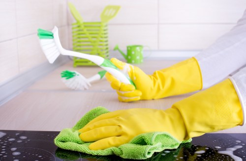 Deep cleaning work in a SW9 bathroom by experienced home cleaners