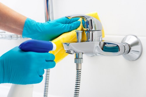 Reviewing carpet cleaning issue details and service notes