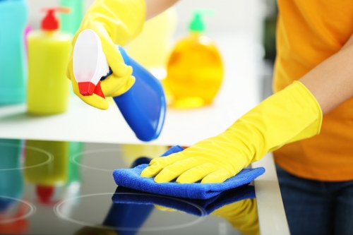 Stain removal process during sofa cleaning in SW9
