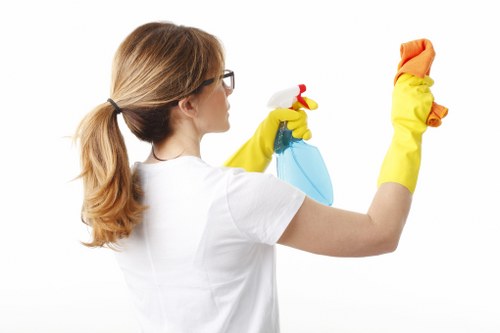 Deep cleaning a lounge sofa to remove dirt and odours